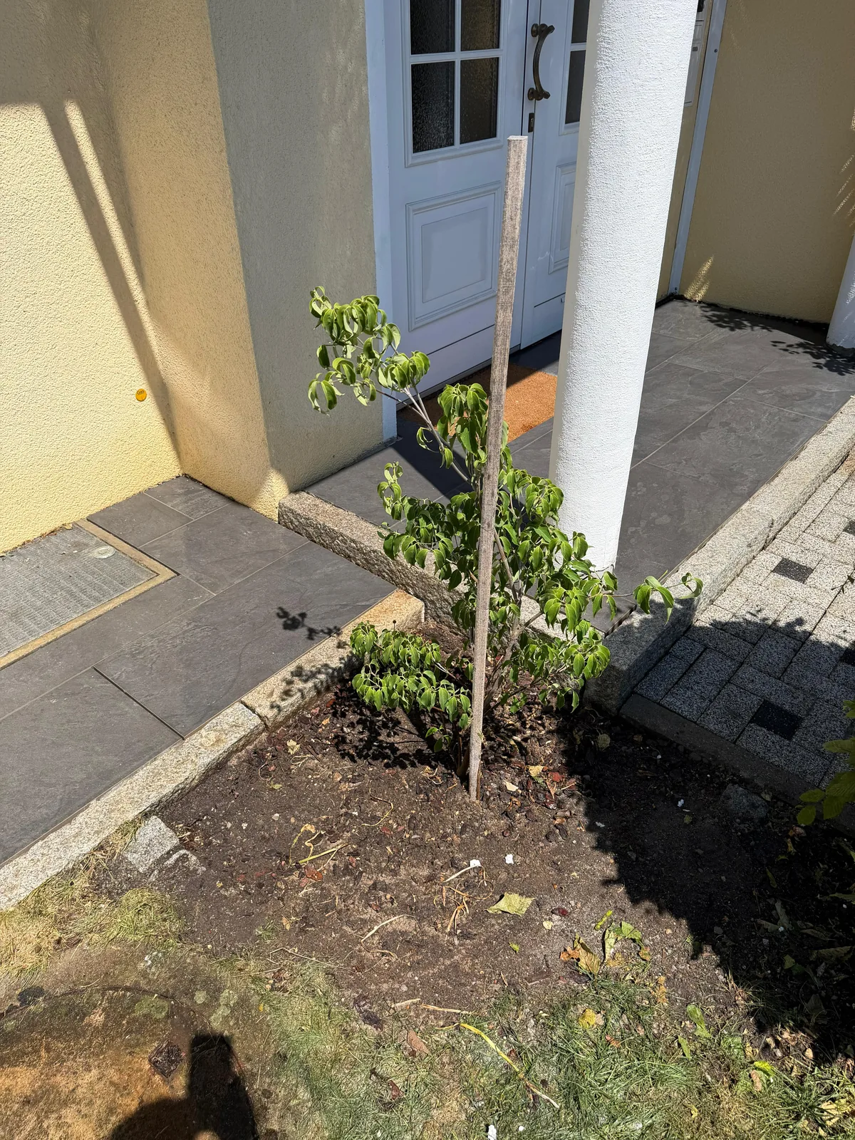Außenanlage mit Pflanzbereich und Natursteinabschluss
