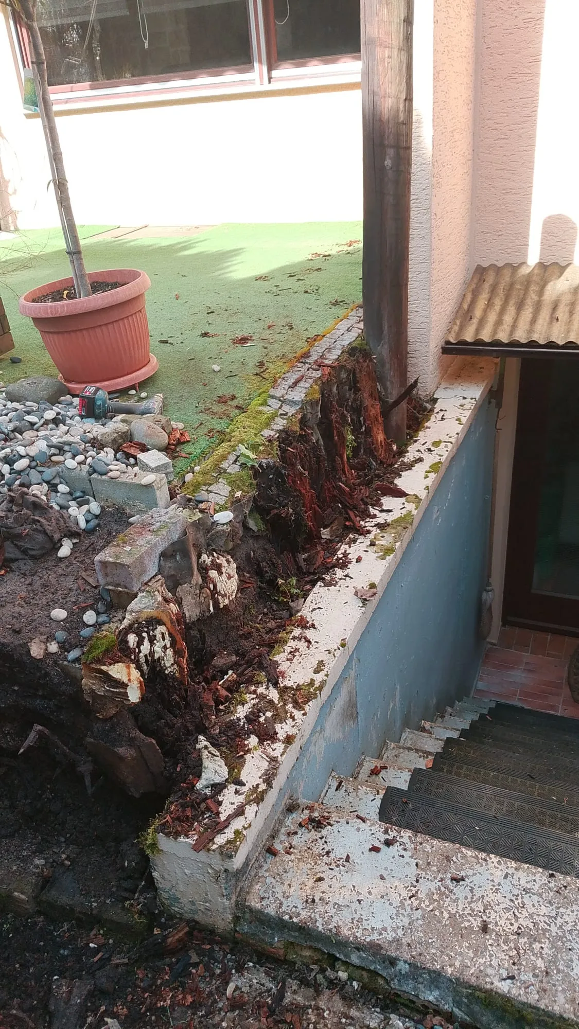 Gartengestaltung – Projekt 4